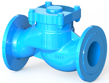 T.I.S. - Zawór zwrotny, grzybkowy - Art.B042 DN65 PN16