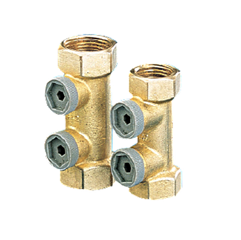 Zawór zwrotny antyskażeniowy Typ EA291NF 21/2"