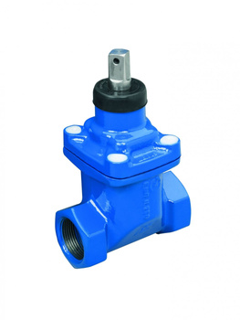 Zasuwa gwintowana - DN20 x 3/4" PN10